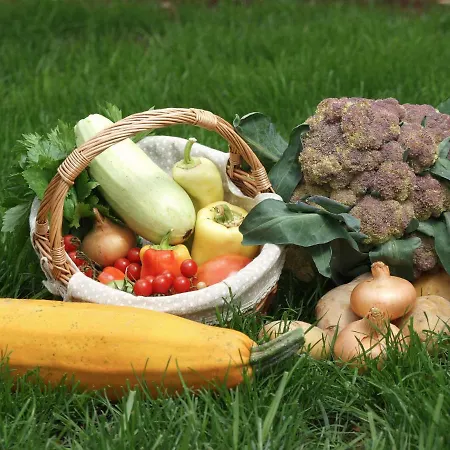 Villa Vlastelini By Interhome Krapan