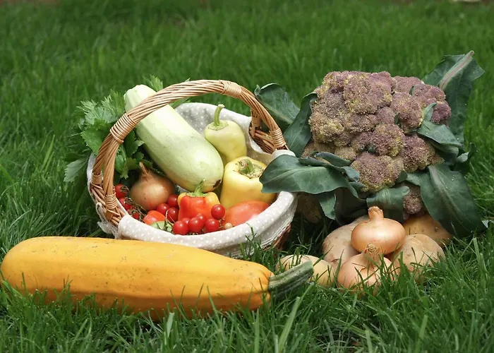 Vila Vlastelini By Interhome Krapan