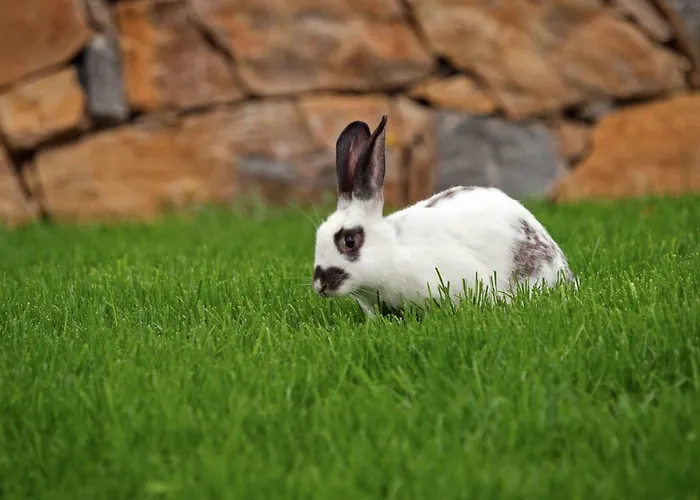 Vlastelini By Interhome Vila *